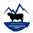 TransylvaniaPremiumAngus